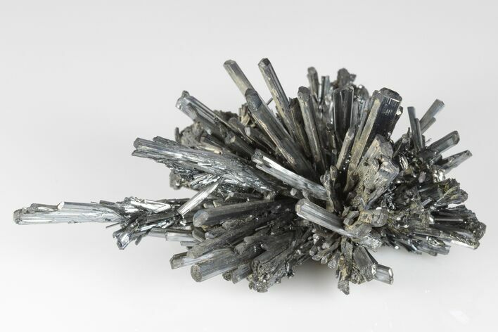 3.9" Metallic Stibnite Crystal Spray - Xikuangshan Mine, China